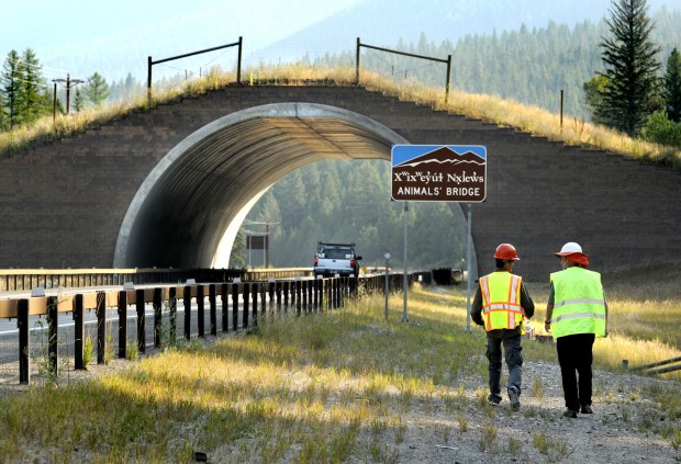 A wildlife overpass in Montana, likely similar to the ones which could be built on Highway 85 in North Dakota.