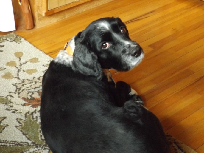 Lizzie--look at the camera