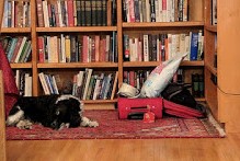 Lizzie-suitcase photo (2)